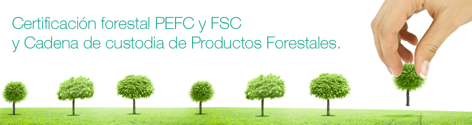 certificacion-forestal-cadena-de-custodia