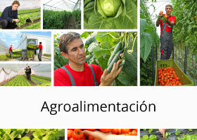 Sistemas de calidad y medio ambiente para empresas